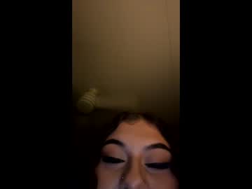 dazzlingkitten