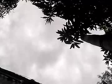 gliz23815